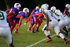 Enlarge photo 274