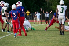 Enlarge photo 281