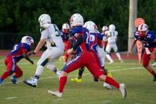 Enlarge photo 339