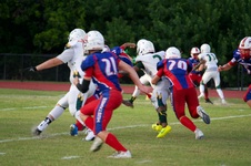 Enlarge photo 340
