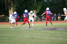 Enlarge photo 415