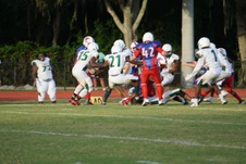 Enlarge photo 423