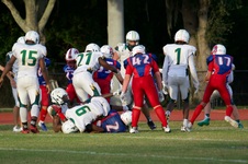 Enlarge photo 427