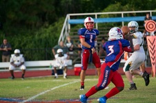 Enlarge photo 441