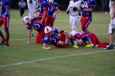 Enlarge photo 635