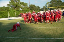 Enlarge photo 14