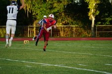 Enlarge photo 48
