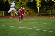 Enlarge photo 49