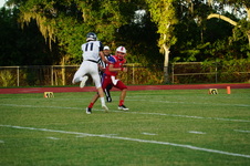 Enlarge photo 50