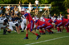 Enlarge photo 51