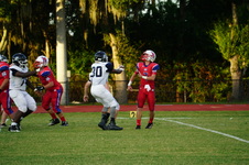 Enlarge photo 67