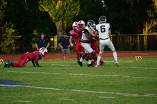 Enlarge photo 73