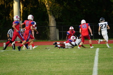Enlarge photo 95
