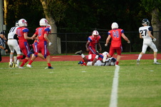 Enlarge photo 97
