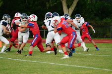 Enlarge photo 115