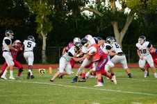 Enlarge photo 116