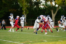 Enlarge photo 119