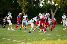 Enlarge photo 118