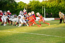Enlarge photo 124