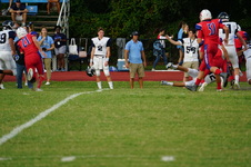 Enlarge photo 135