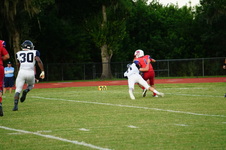 Enlarge photo 175