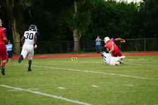 Enlarge photo 178