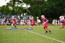 Enlarge photo 211