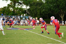 Enlarge photo 548