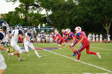 Enlarge photo 213
