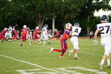 Enlarge photo 215