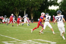 Enlarge photo 216