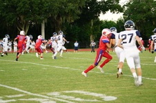 Enlarge photo 549