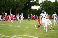 Enlarge photo 219