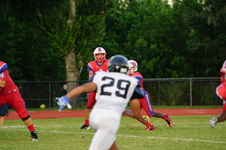 Enlarge photo 229