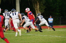 Enlarge photo 234