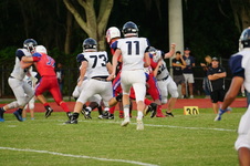 Enlarge photo 236