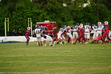 Enlarge photo 265