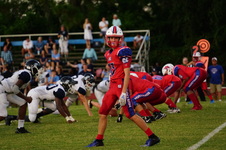 Enlarge photo 294