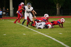 Enlarge photo 305