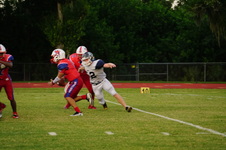 Enlarge photo 315