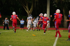 Enlarge photo 318