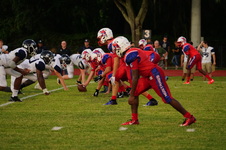 Enlarge photo 323