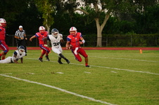 Enlarge photo 331
