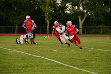 Enlarge photo 330