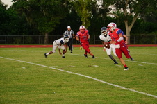 Enlarge photo 333