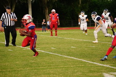Enlarge photo 356