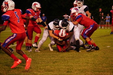 Enlarge photo 446