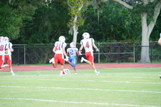 Enlarge photo 45