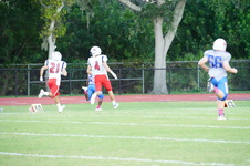 Enlarge photo 47