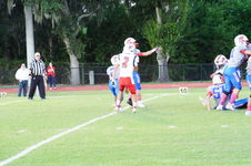 Enlarge photo 84